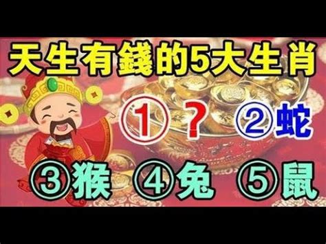 坐向 生肖|十二生肖宅運大公開